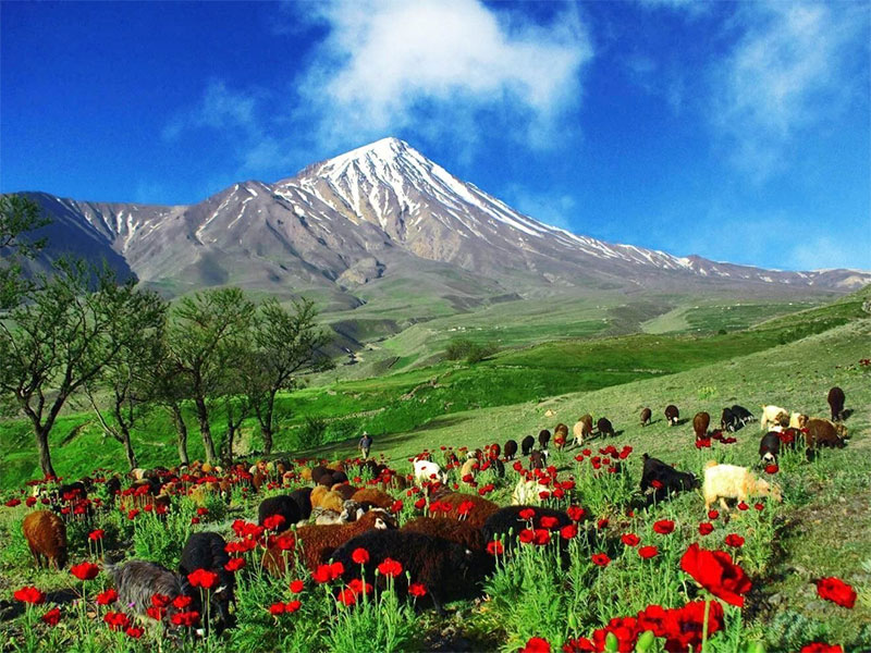 Damavand-Mt-nature photography in Iran