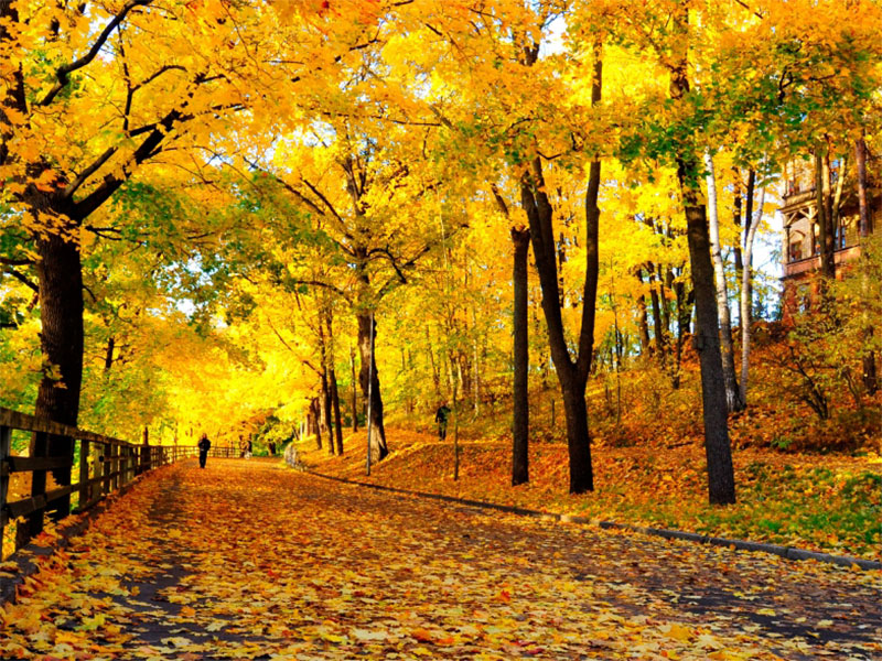 best autumn destinations in Iran